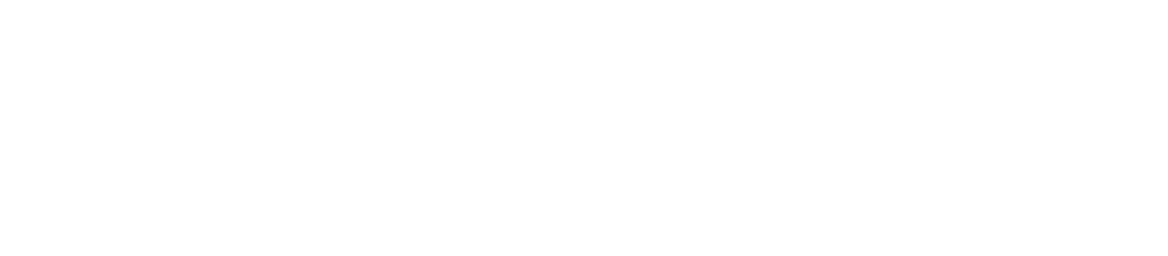 Bluesky full logo, white variant