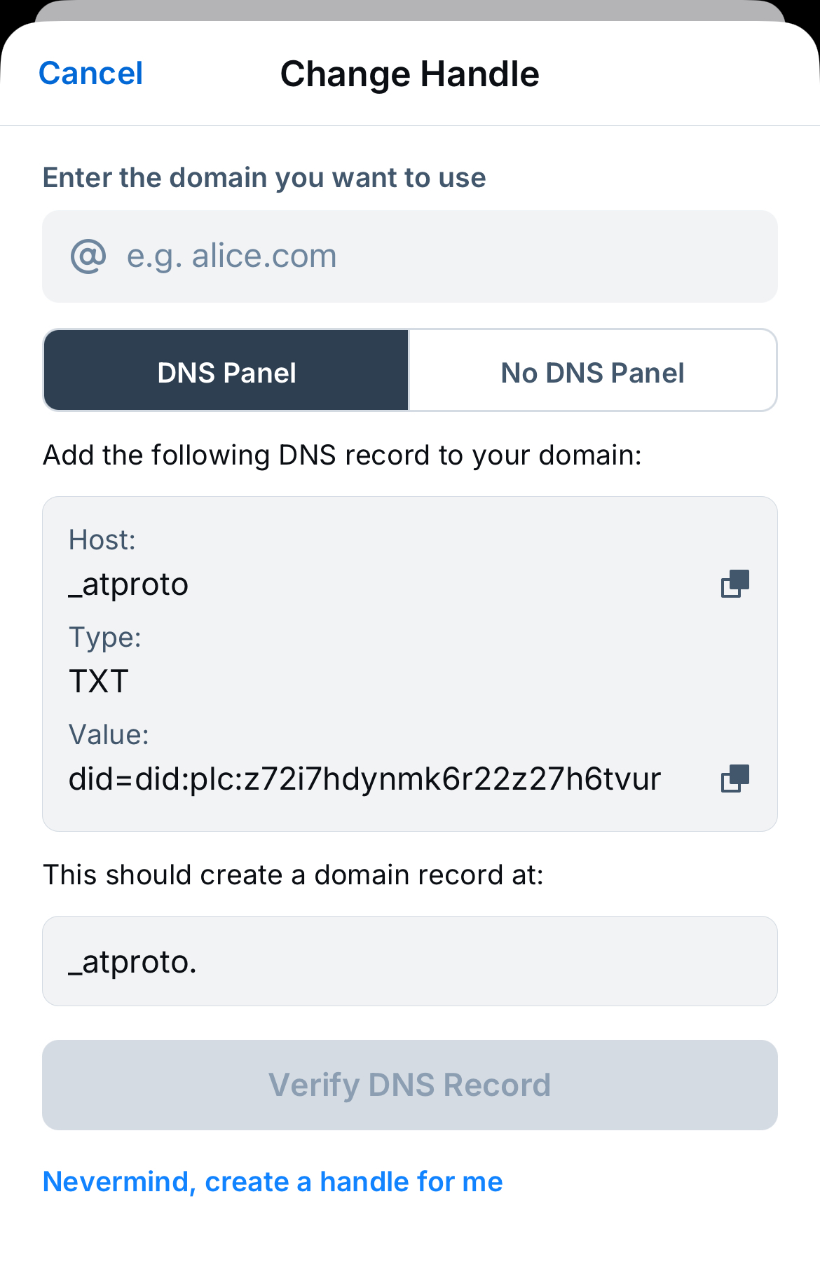 Domain TXT record